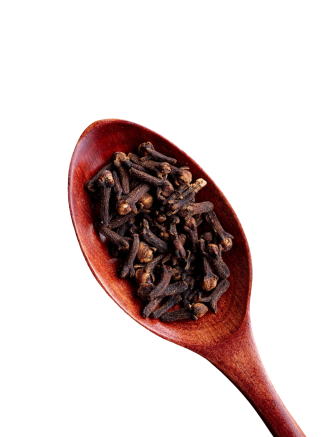 Buy clove online from Sahyan